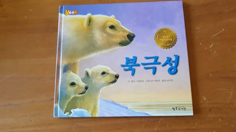 북극성 표지