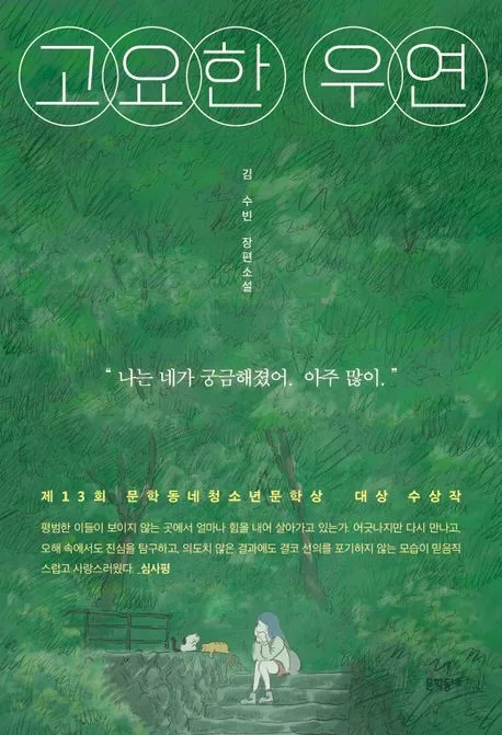고요한 우연 : 김수빈 장편소설 표지