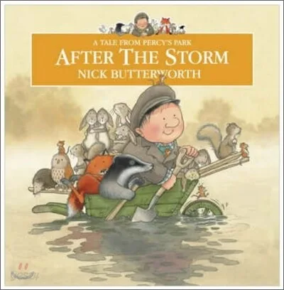 After the storm 표지