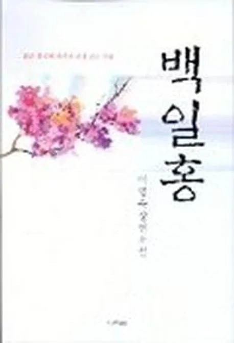 백일홍 표지