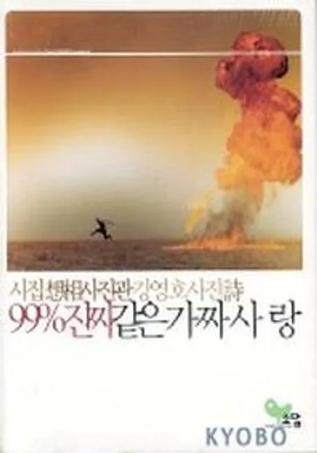 99%진짜같은 가짜사랑 표지