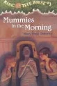 Magic Tree House 3 - Mummies in the Morning 표지