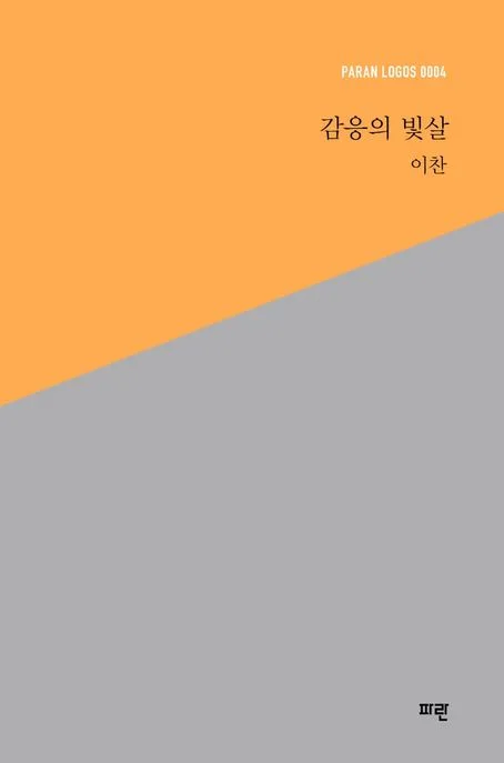 감응의 빛살 표지