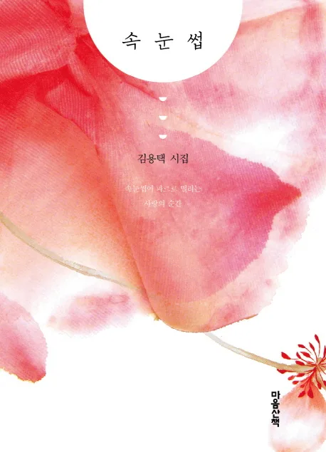 속눈썹 표지