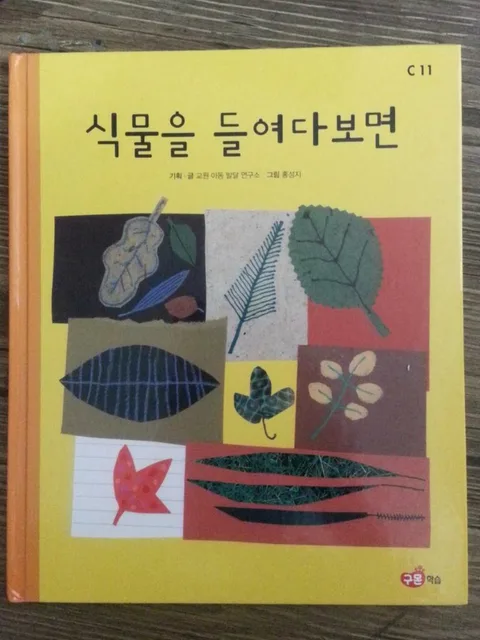식물을 들여다보면 표지
