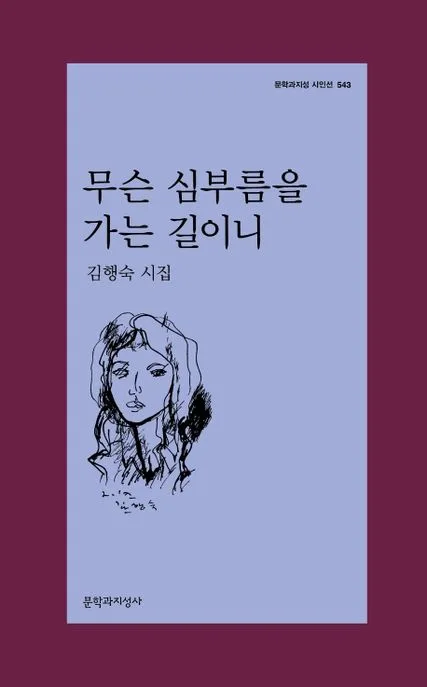 무슨 심부름을 가는 길이니 : 김행숙 시집 표지