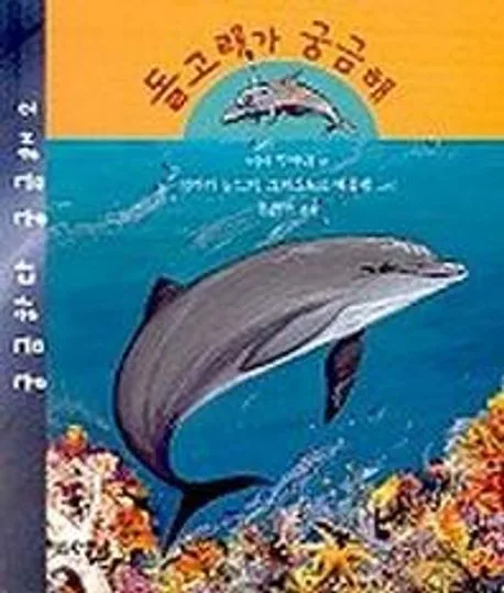 돌고래가 궁금해 표지