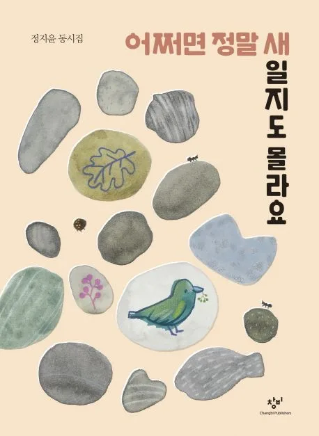 어쩌면 정말 새일지도 몰라요 : 정지윤 동시집 표지