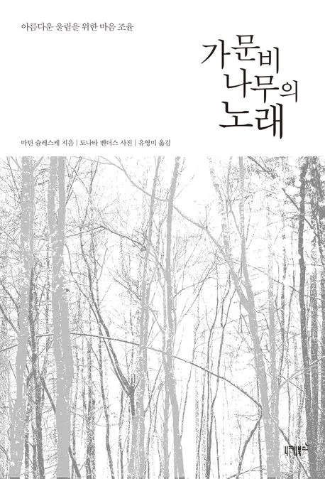 가문비나무의 노래 : 아름다운 울림을 위한 마음 조율 표지