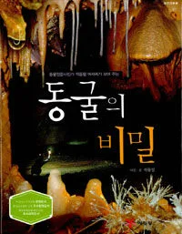동굴의 비밀 표지