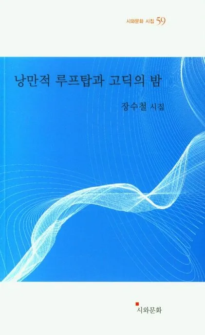 낭만적 루프탑과 고딕의 밤 : 장수철 시집 표지