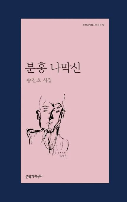 분홍 나막신 : 송찬호 시집 표지